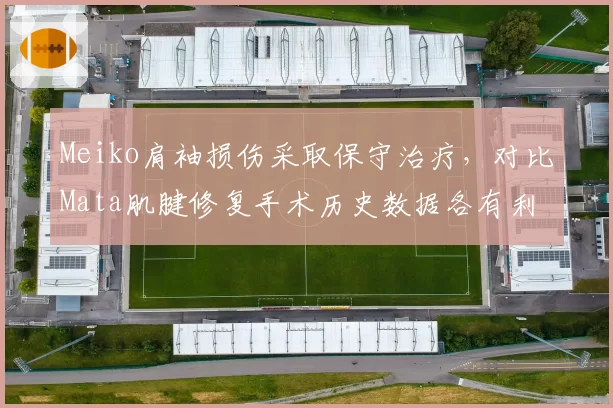 Meiko肩袖损伤采取保守治疗,对比Mata肌腱修复手术历史数据各有利弊