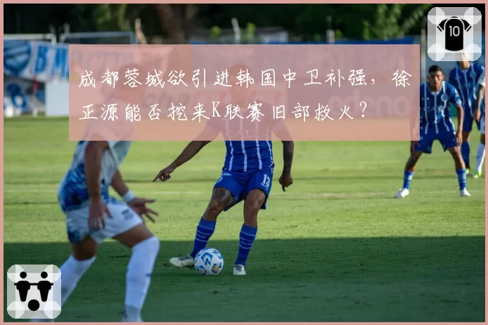 成都蓉城欲引进韩国中卫补强,徐正源能否挖来K联赛旧部救火?