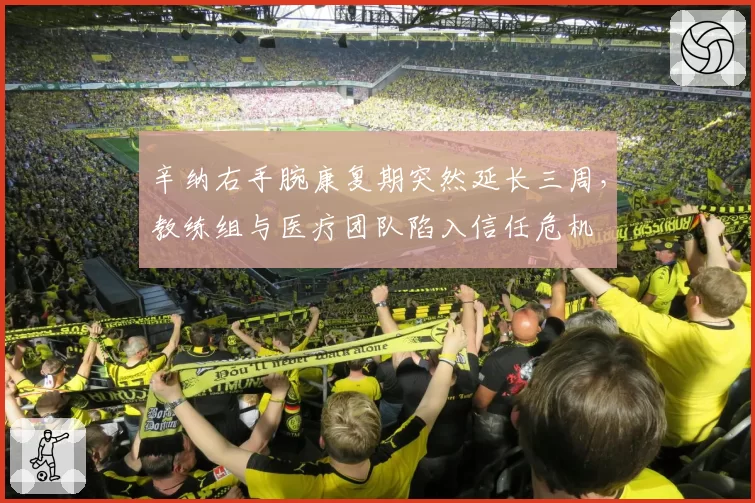 辛纳右手腕康复期突然延长三周,教练组与医疗团队陷入信任危机