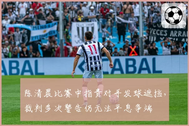 陈清晨比赛中指责对手发球遮挡，裁判多次警告仍无法平息争端