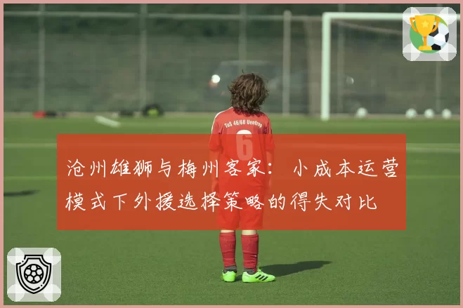 沧州雄狮与梅州客家：小成本运营模式下外援选择策略的得失对比