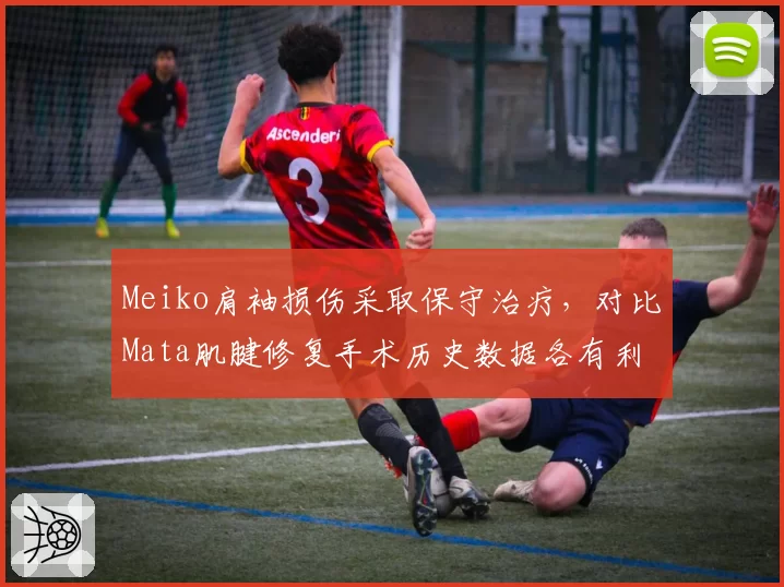 Meiko肩袖损伤采取保守治疗，对比Mata肌腱修复手术历史数据各有利弊